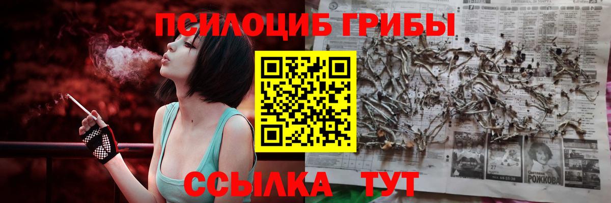 Псилоцибиновые грибы GOLDEN TEACHER  даркнет сайт  Россия  Псилоцибиновые грибы мицелий  Вход с VPN 